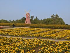 -同里国家湿地公园