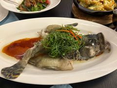 -彩丰楼中餐厅·早茶·点心·粤菜(海口华彩洲际酒店)