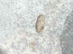 -星伦多自助料理·涮烤一体(嘉兴八佰伴店)