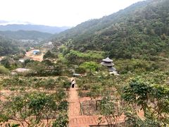 -广东天露山旅游度假区
