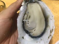 -蚝专家(北滘店)