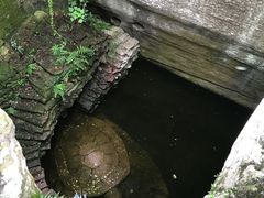 -蛇蟠岛