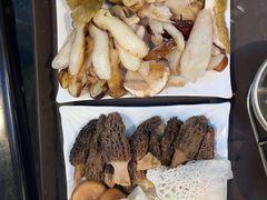 -蘑统田下·野生菌火锅