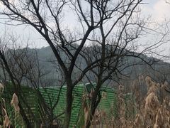 -西湖风景区-江洋畈生态公园