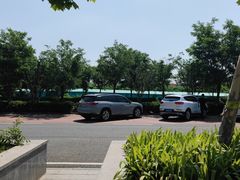 -藁城北服务区-停车场