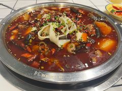 -晓彭肥肠鸡·泡椒鸡火锅(水木天地店)
