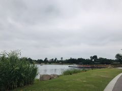-桐乡凤凰湖