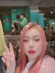 点击看大图 -金棕榈