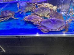 -盒马鲜生(189购物中心店)