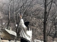 -王顺山国家森林公园
