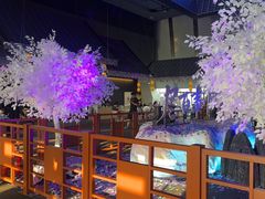 -上海环球金融中心骑迹50年环球之旅