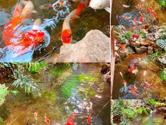 -聚缘堂·海鲜私房菜(松岭路店)
