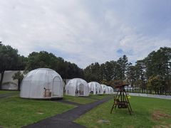 -金银湖国家城市湿地公园