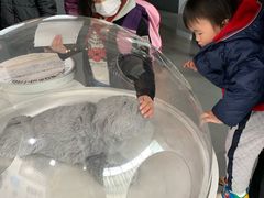 -日本科学未来馆