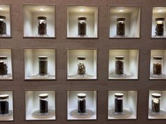 -北京中医药大学-中医药博物馆