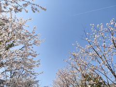 -扬州大学(扬子津校区)