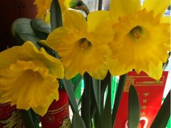 -静岸花卉园艺(三星坊店)