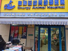 -总动员动物医院(宝丰院店)