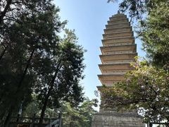 -洛阳白马寺