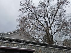 -香山公园
