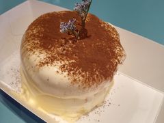 小提苏梳乎厘-狐狸和向日葵(北京路店)