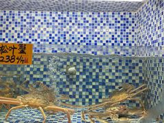 -顺德了能馆(虎门店)