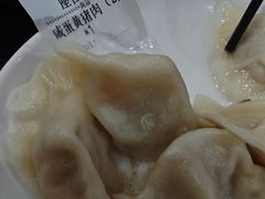 -东北农业大学饺子园