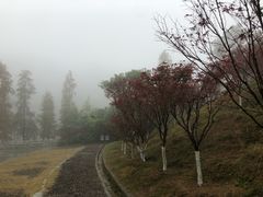 -广州市帽峰山景区