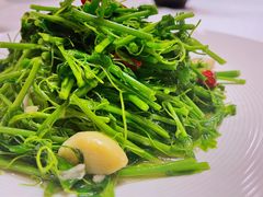 -鲁班喜悦酒店