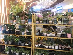 -茶马花街(城西银泰城店)