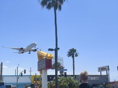 -In-N-Out Burger(LAX)