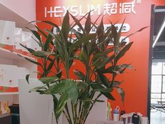 -超减·私教减肥馆(世博店)