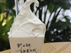 -野人先生Gelato(上海长宁龙之梦店)