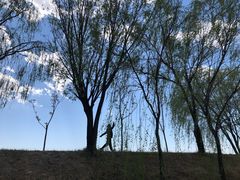 -野鸭湖国家湿地公园