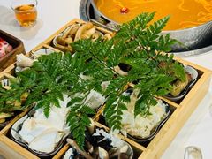 -花菇朵 ll 野生菌锅·精品滇菜(后沙峪店)