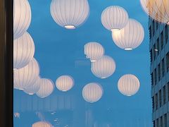 -菩提树·素食餐厅(汇智国际商业中心店)