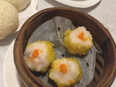 -帝皇楼