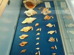 -海军上海博览馆