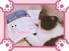 -猫音日语留学培训