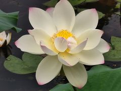 -昆山城市生态森林公园