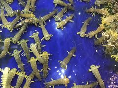 -幸福姐海鲜大排档