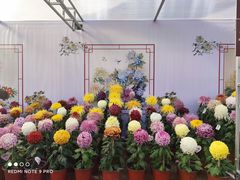 -北海公园