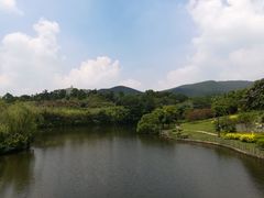 -大屏嶂森林公园