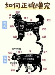 -神奇动物撸宠馆·羊驼·小浣熊·异宠(豫园店)