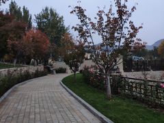 -静之湖湖畔餐厅