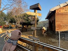 -HERRE·FARM 赫尔露营农场·团建聚会包场