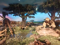 -国家自然博物馆