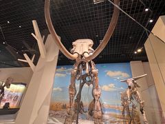 -国家自然博物馆