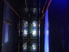-新盈光·心院(嘉恒广场店)