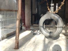 景点-北京动物园